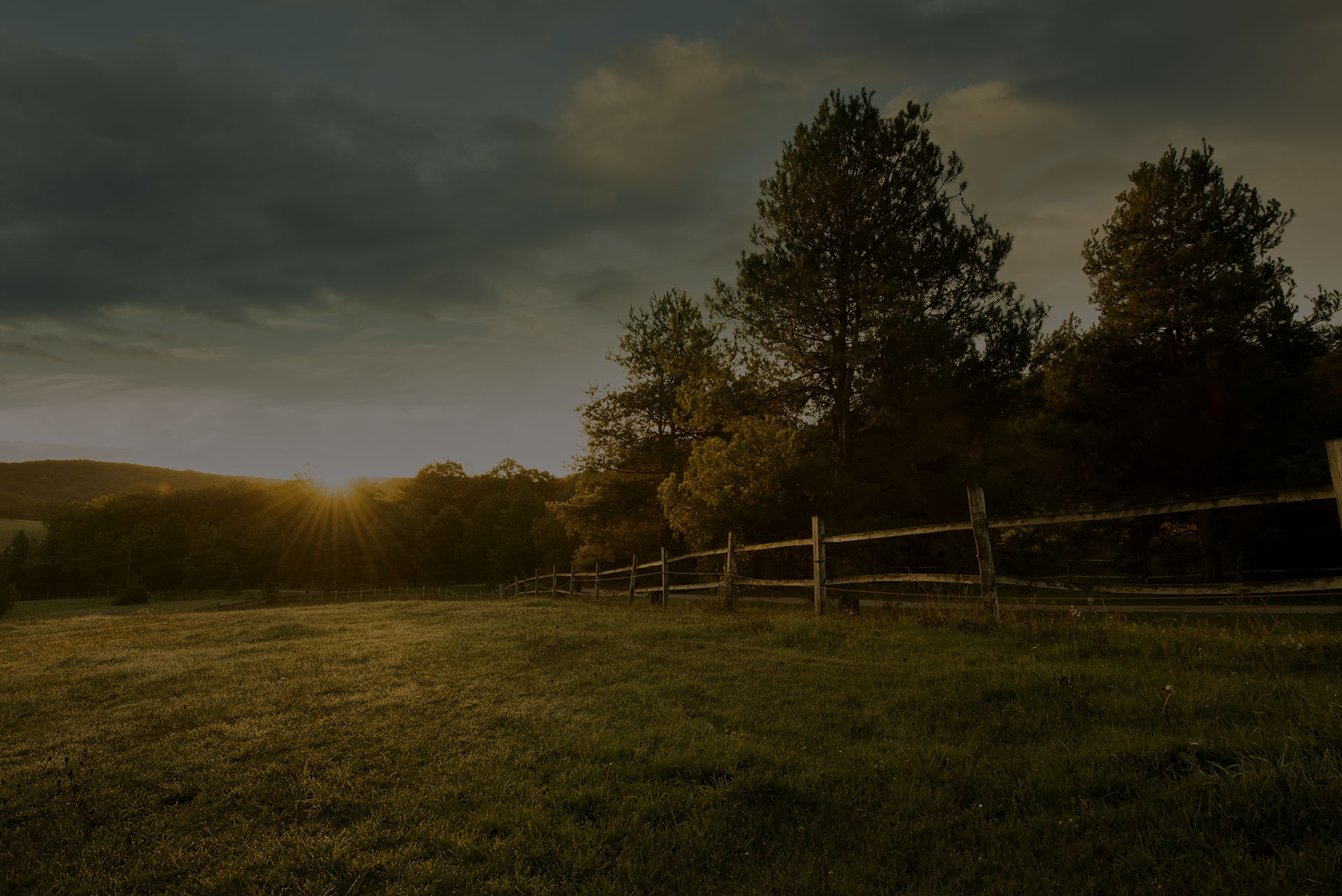Image of a beautiful field with sun setting in background.